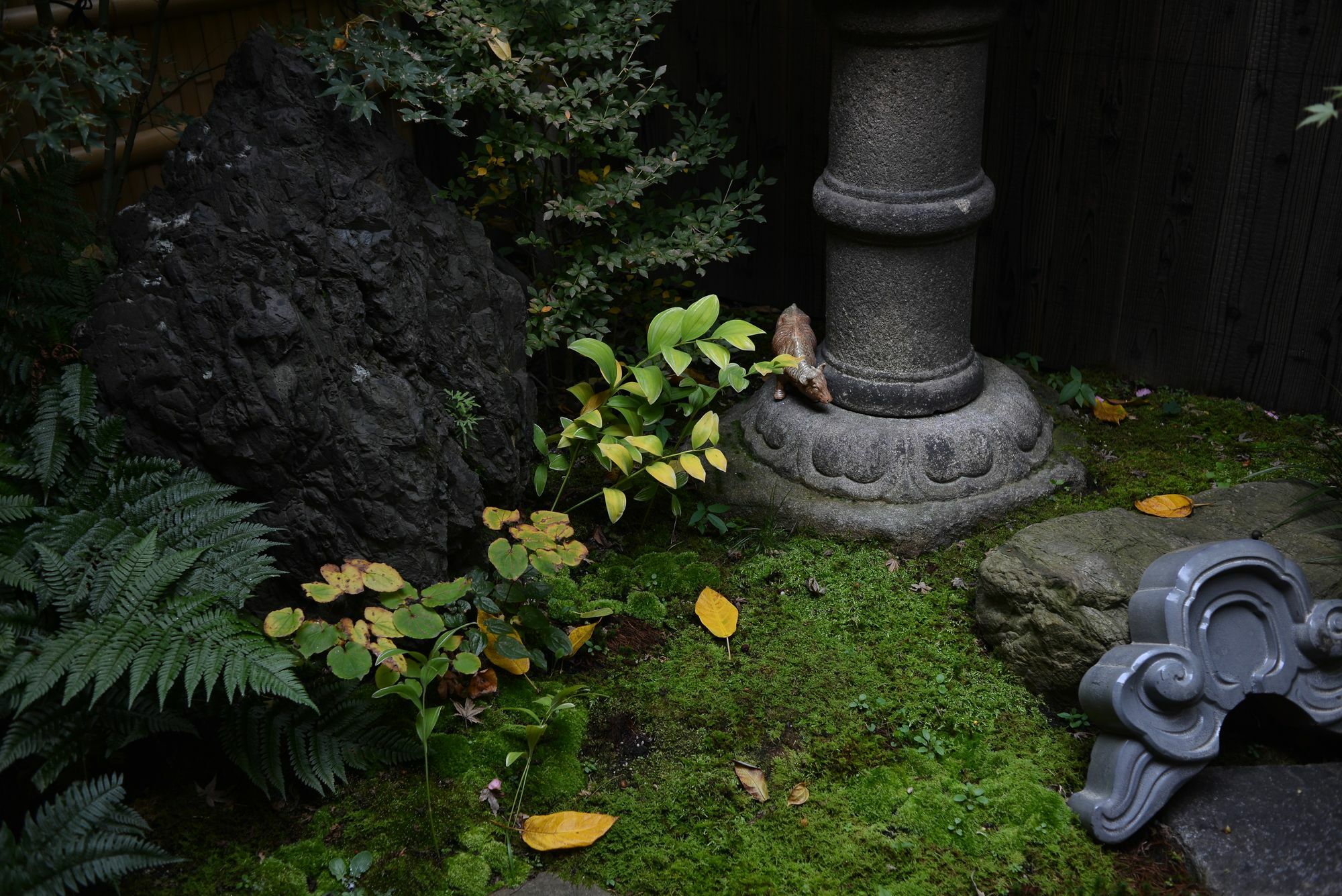 Guest House Bokuyado เกียวโต ภายนอก รูปภาพ